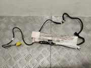 Sitzairbag vorne links MERCEDES-BENZ CLS (C218) CLS 500 4-matic (218.391) 7P0880241