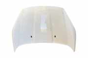 Motorhaube Ford Fiesta VI (CB1, CCN)