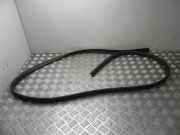 Türgummi links hinten Renault Twingo III (BCM) 640