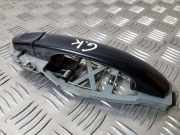 Türaußengriff hinten links