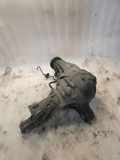 Vorderes Untersetzungsgetriebe MERCEDES-BENZ M (W164) ML 420 CDI 4-matic (164.128) 4460310031