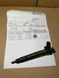 Einspritzdüse BMW X5 (E70) xDrive 30 d 04604