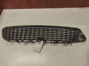 Gitter vorne unten OPEL VECTRA C GTS 1.9 CDTI 239263762