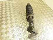 Stoßdämpfer hinten links PEUGEOT 407 Coupe (6C_) 2.7 HDi