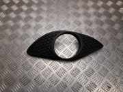 Ziergitter Alfa Romeo Giulia (952) 156119531