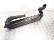 Ladeluftkühler FIAT DOBLO Cargo (223_) 1.3 D Multijet 517189530