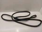 Türgummi links vorne VW Caddy III Kasten (2KA)