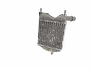 Ladeluftkühler Fiat Punto (188) 847850000