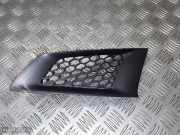 Lüftungsgitter für Stoßfänger Renault Koleos I (HY) 62075JY00A