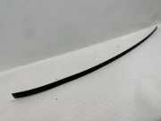 Dachleiste links BMW X1 (E84) sDrive 18 d