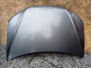 Motorhaube Hyundai Santa Fe II (CM)