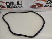 Türgummi links vorne BMW 5er Touring (G31)