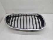 Vorderer oberer Gitter BMW 5 Touring (E61) 530 d 7065702