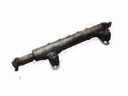 KRAFTSTOFFVERTEILER EINSPRITZLEISTE VERTEILERROHR NISSAN PATHFINDER III (R51) 2.5 dCi 4WD 06G04023