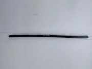 Dachleiste links LAND ROVER RANGE ROVER EVOQUE (L538) 2.2 D 4x4