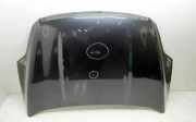 Motorhaube FORD KUGA I 2.0 TDCi 4x4