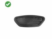 Frischluftgrill MERCEDES-BENZ E (W211) E 320 CDI (211.022) A2119140559