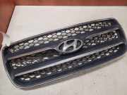 Kühlergrill oben Hyundai Santa Fe II (CM) E865612B020