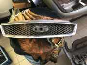 Gitter Grill vorne links FORD FOCUS C-MAX 1.8 TDCi 3M51R8138
