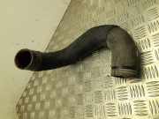 Schlauch für Luftversorgung Fiat Ducato Kasten (250) 1394053080