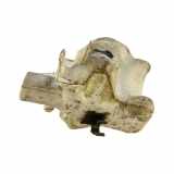 Behälter Scheibenwaschanlage Citroen C4 Grand Picasso (U) 9681860980