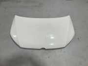 Motorhaube VW Caddy III Kasten (2KA)