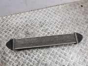 Ladeluftkühler Mercedes-Benz A-Klasse (W169) A1695000000