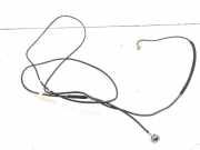 Antenne Dach Citroen Xsara (N1)