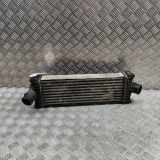 Ladeluftkühler FORD TRANSIT Minibus / passenger 2.0 TDCi GK21-6K775-AE