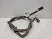 Kabelbaum Renault Koleos II (HC) 241517436R