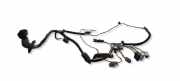 Kabel der vorderen linken Tür RENAULT ESPACE IV (JK0/1_) 1.9 dCi (JK0U, JK0G) 8200318052