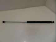 Heckklappe Gasdruckfeder links PEUGEOT 206 Hatchback (2A/C) 1.9 D