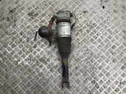 Pneumo-Stoßdämpfer hinten links AUDI A8 D3 (4E2, 4E8) 4.2 quattro 4E0616001E