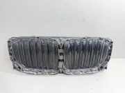 Kühlerluftumlenker BMW X5 (G05) xDrive 30 d 9465525