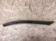 Zierleiste Windschutzscheibe Frontscheibe PEUGEOT 607 (9D, 9U) 2.7 HDi 24V 300536