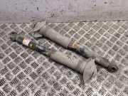 Stoßdämpfer hinten links TOYOTA RAV 4 V (A5, H5) 2.5 Hybrid AWD (AXAP54) 4853042130