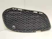 Gitter vorne unten MERCEDES-BENZ C (W205) C 250 (205.045) 205AMG A2058854023