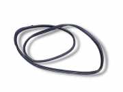 Türdichtung Mercedes-Benz R-Klasse (W251) A2516900176