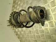 Stoßdämpferset RENAULT ZOE (BFM_) ZOE 543028406R