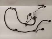 Kabelbaum VW Tiguan I (5N) 5N0971104D