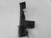 Kühlerluftumlenker RENAULT SCÉNIC III (JZ0/1_) 1.9 dCi (JM14) 214990024R