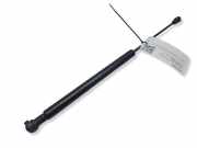 Heckklappe Gasdruckfeder links VW PASSAT CC (357) 2.0 BlueTDI 3C882755003S