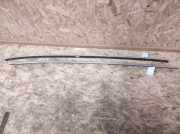 Dachreling links Audi A6 (4F, C6)