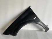 Kotflügel vorne links RENAULT MEGANE II (BM0/1_, CM0/1_) 1.4 16V