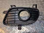 Blende Nebelscheinwerfer Mercedes-Benz A-Klasse (W169) A1698850522