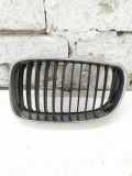 Vorderer oberer Gitter BMW 1 (E87) 118 d 7166439
