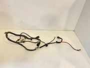 Kabelbaum VW PASSAT Variant B7 (365) 1.6 TDI 3C1971111AC