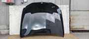 Motorhaube BMW 5er Touring (G31)
