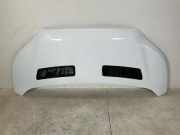 Motorhaube FORD TRANSIT 2.0 TDCi 2485550