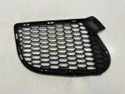 Kühlergrill unten BMW X5 (E70) 51117205577